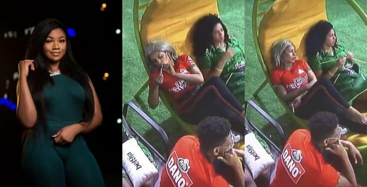 Photo of BBNaija: ‘Tacha’s food is tasteless, I can’t even buy it in a restaurant’ – Mercy (video)