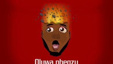 Photo of Oluwa Phegzy – Blow My Mind (Cover)